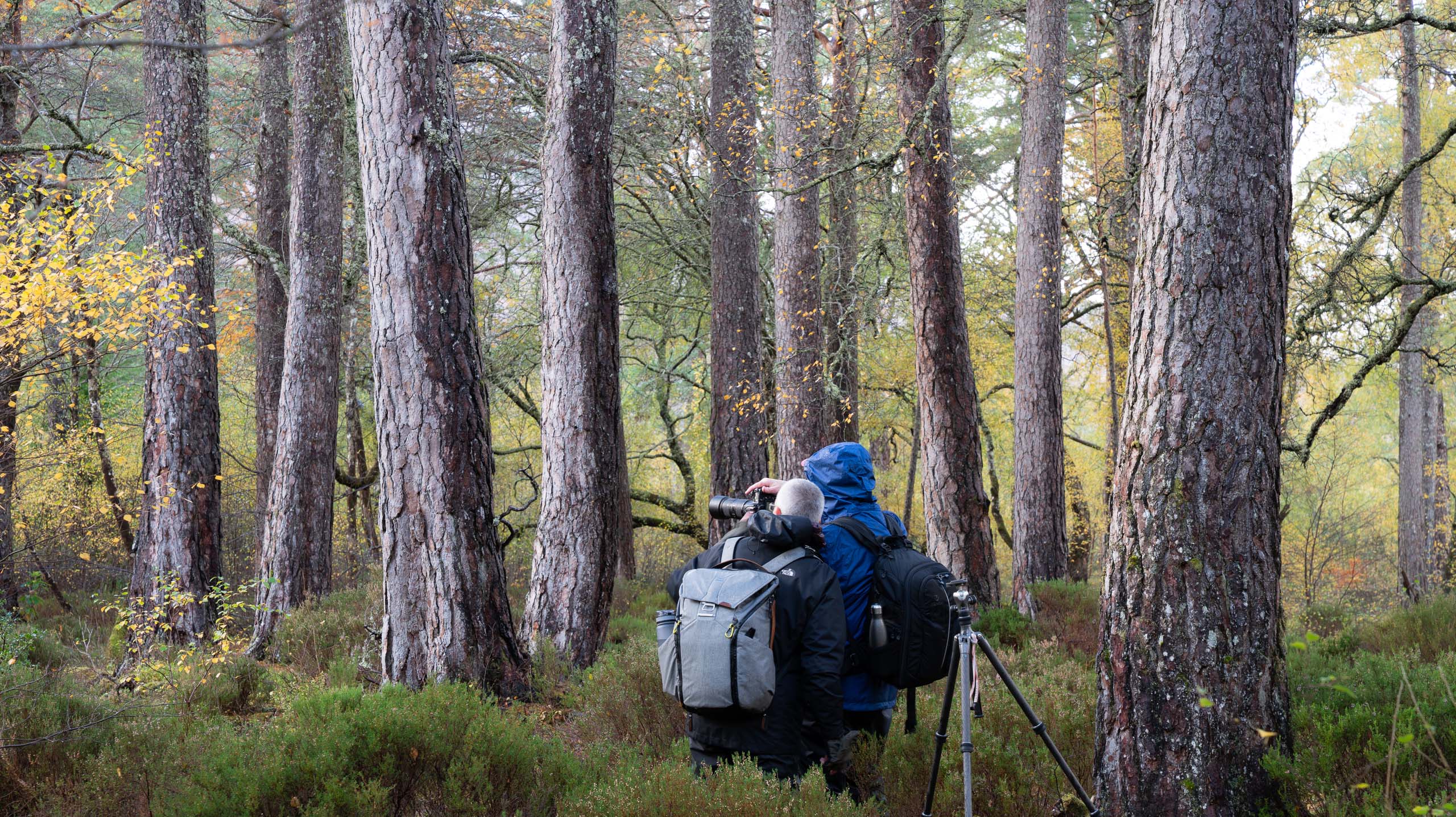 Woodland photography workshop participants