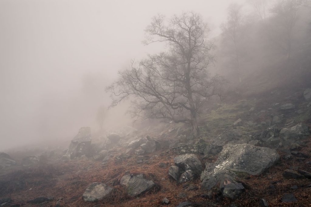 Distant Dale