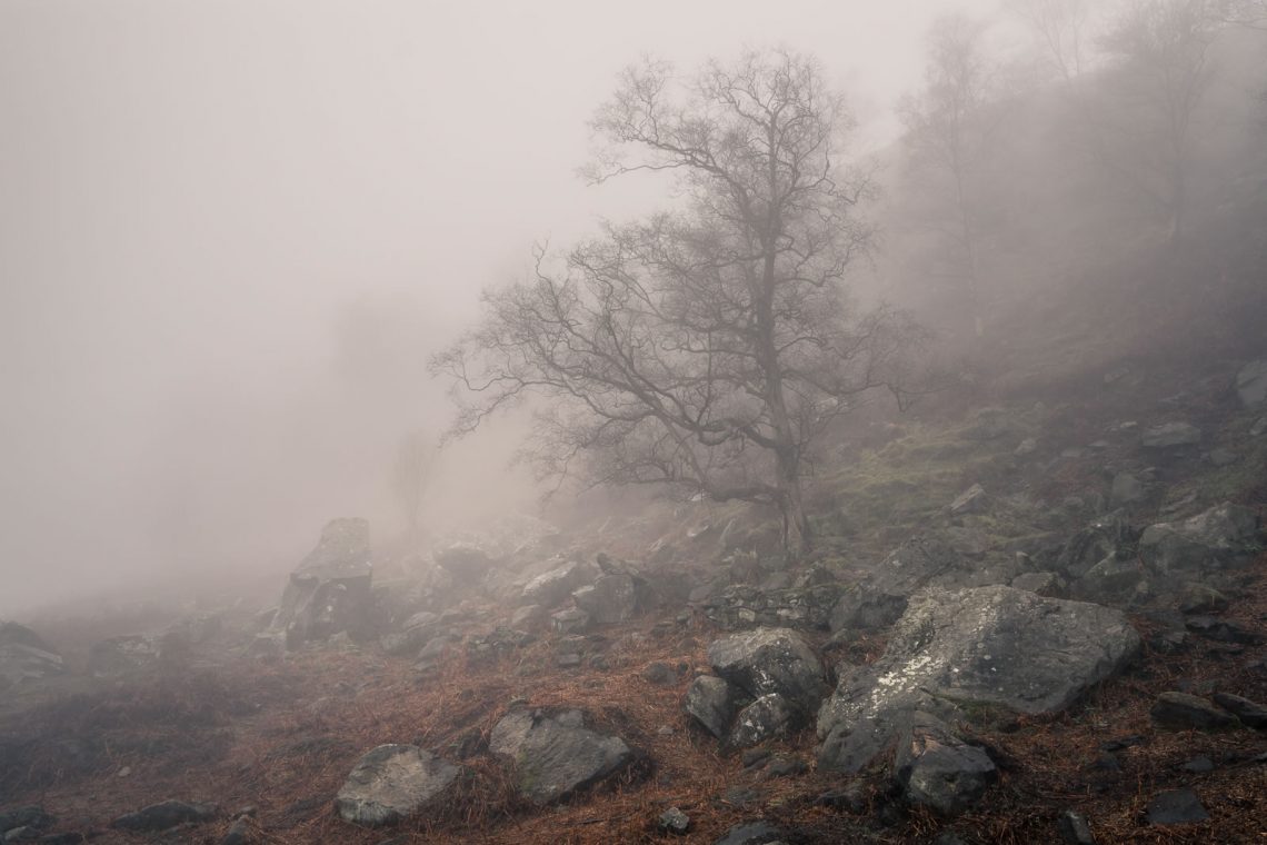 Distant Dale