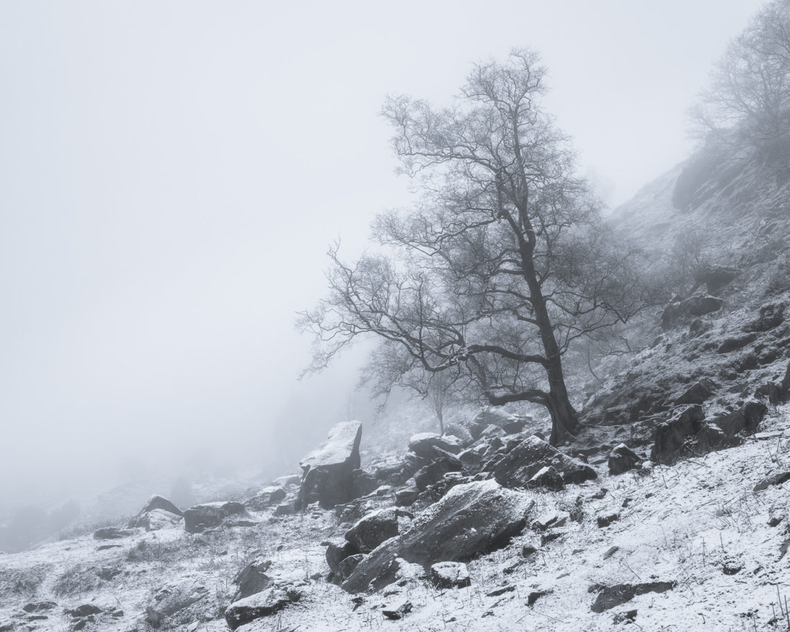 Distant Dale III