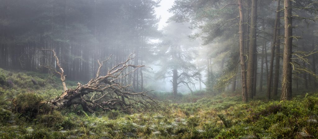 OPOTY Category Winner. Valley Stories III