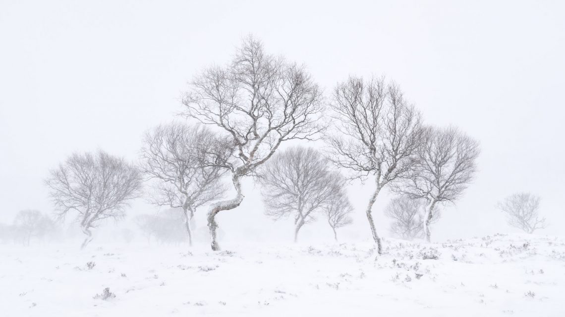 Winter Sketch