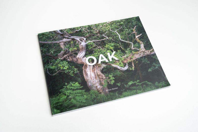 OAK Zine Front Cover