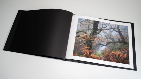 OAK Collectors' Edition