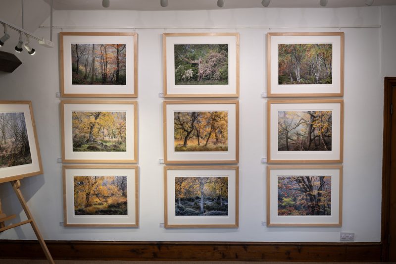 All the Wood's a Stage exhibition - Transience