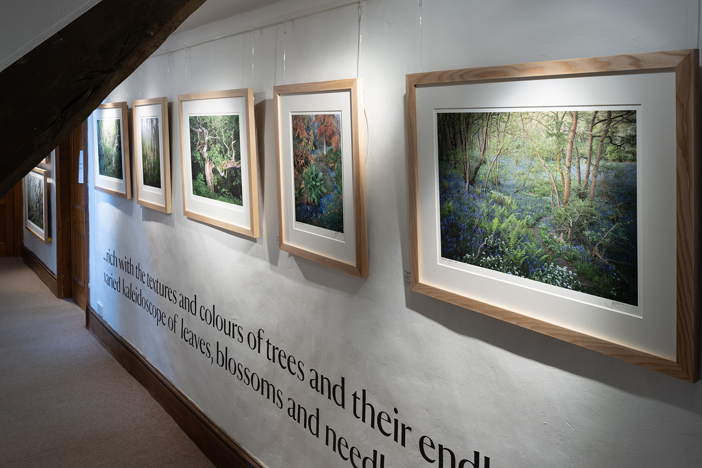 All the Wood's a Stage exhibition - Emergence