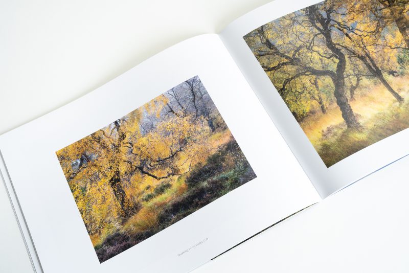 All the Wood's a Stage -Inside 2