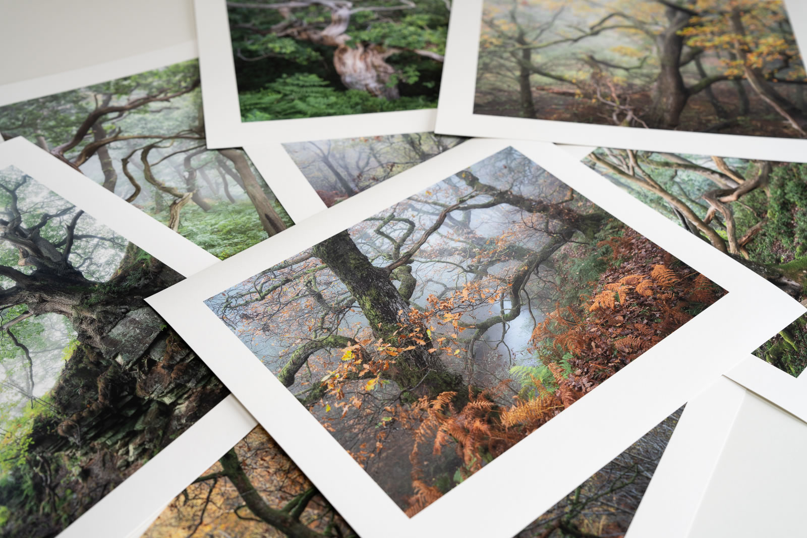 OAK Print Box Set - Image 2