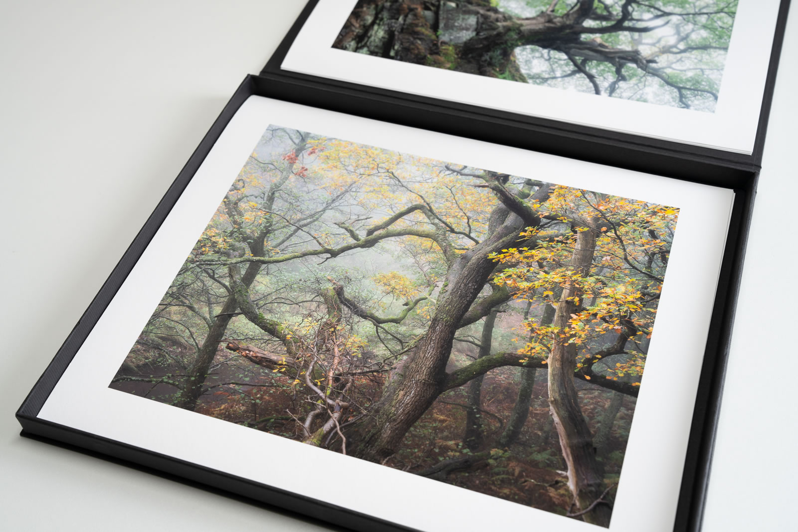 OAK Print Box Set - Image 4