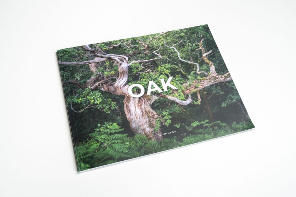 OAK Zine