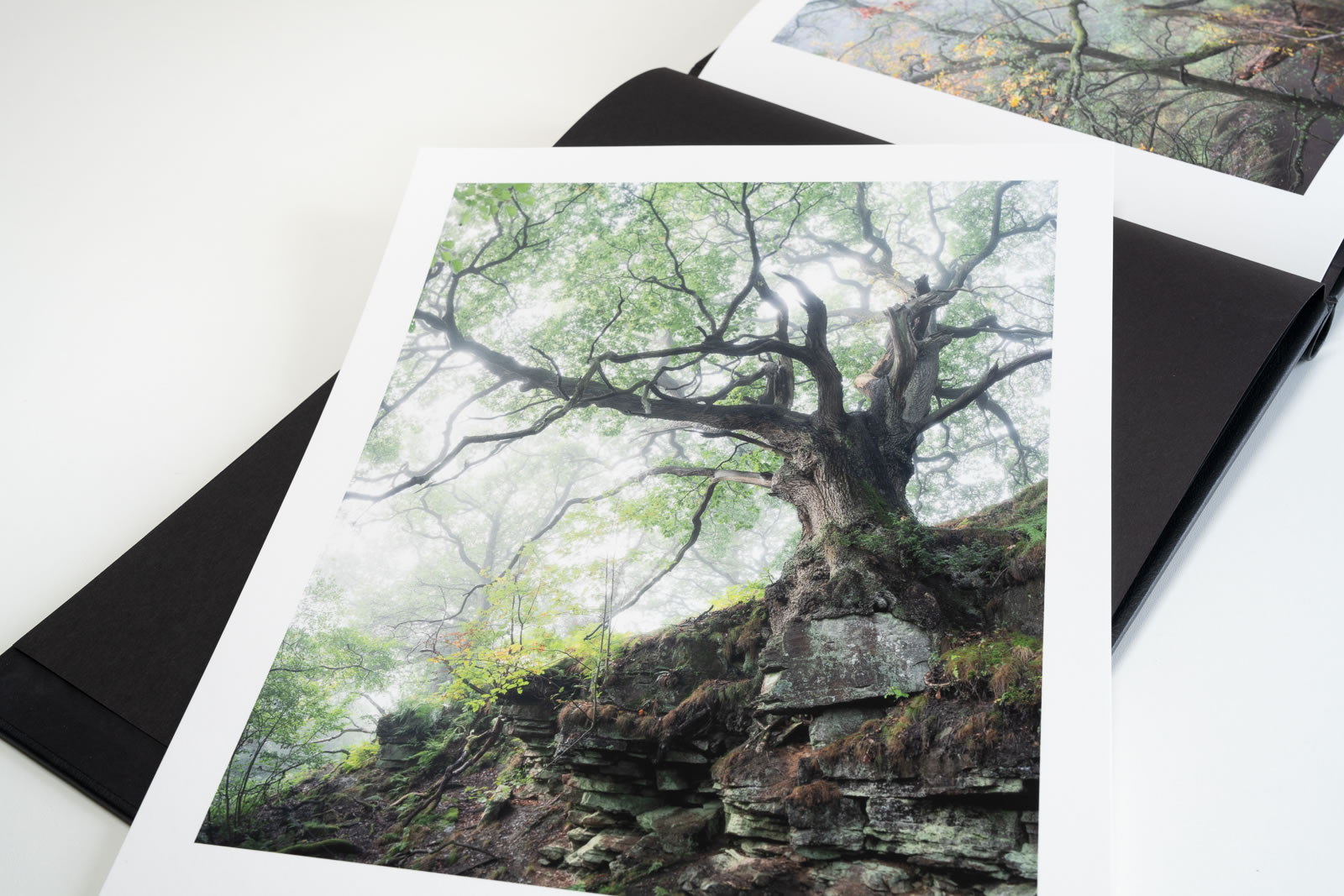 OAK Collectors' Edition - Image 3
