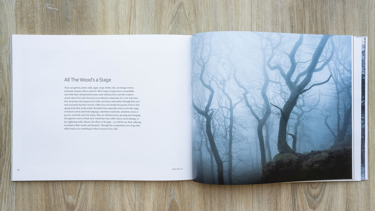 Woodland Sanctuary - Image 3