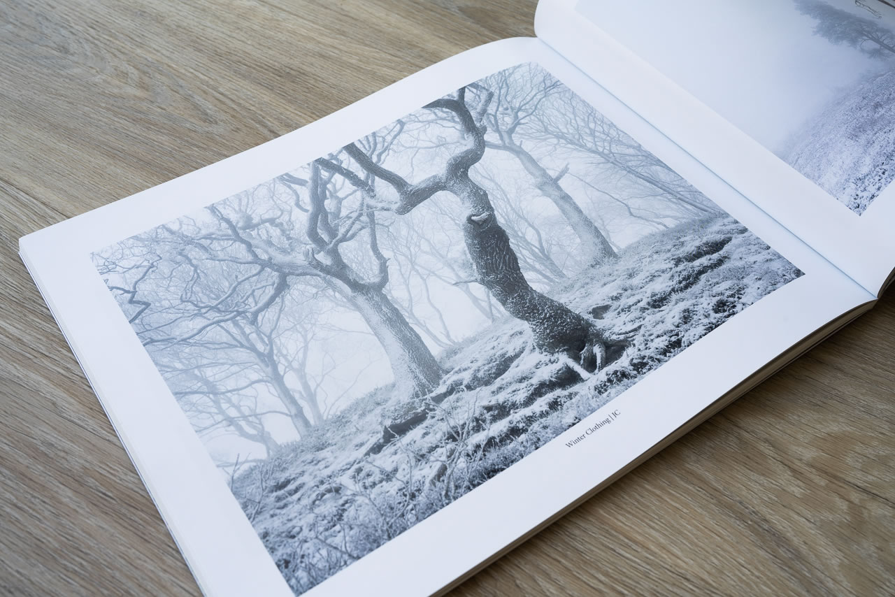 Woodland Sanctuary - Image 2