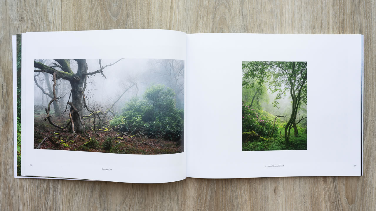 Woodland Sanctuary - Image 4