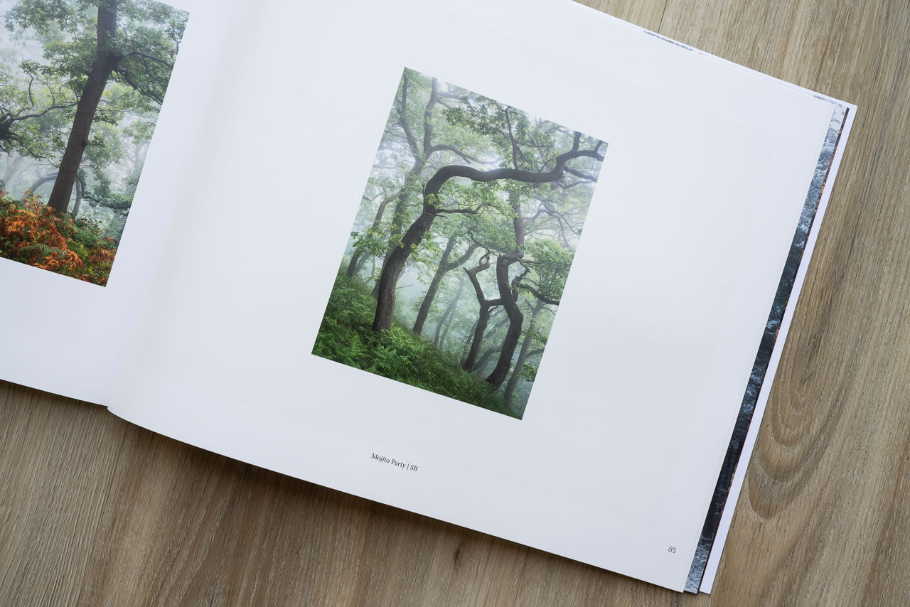 Woodland Sanctuary - Image 5