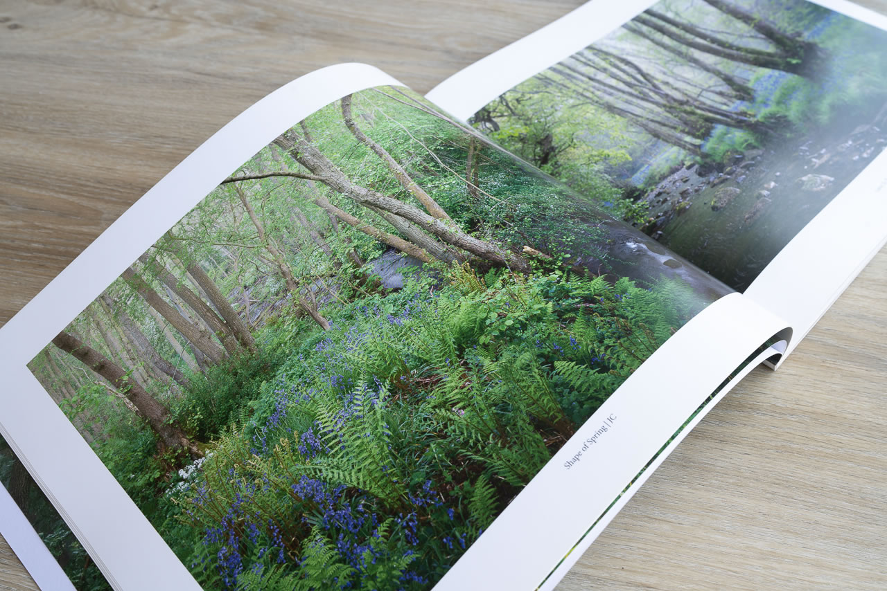 Woodland Sanctuary - Image 6