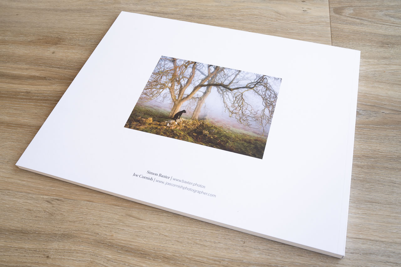 Woodland Sanctuary - Image 7